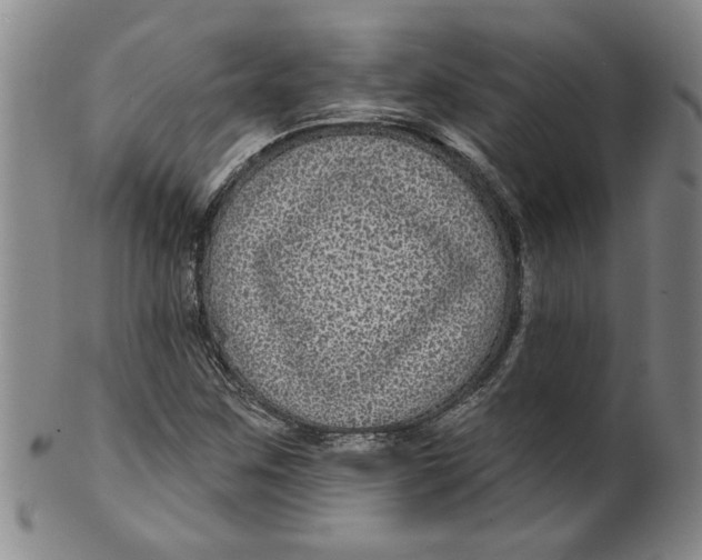 X0000100391259200806271349