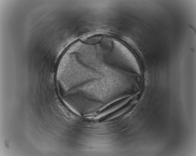 X0000100391260200806271349