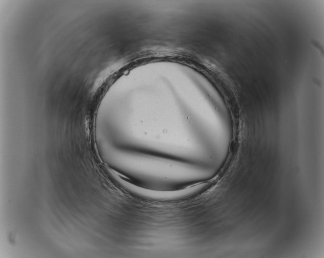 X0000100391261200806271349