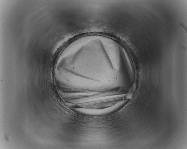 X0000100391262200806271349