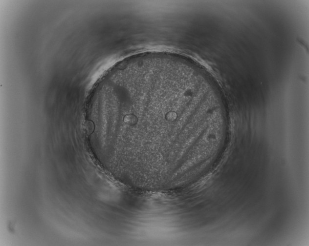 X0000100391263200806271349