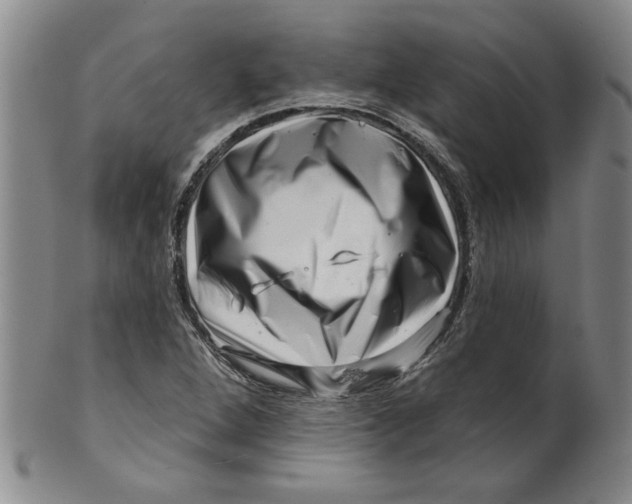 X0000100391264200806271349