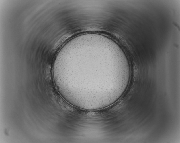 X0000100391265200806271349