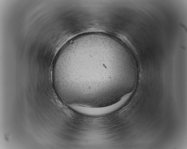 X0000100391268200806271349