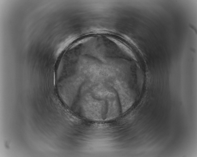 X0000100391269200806271349