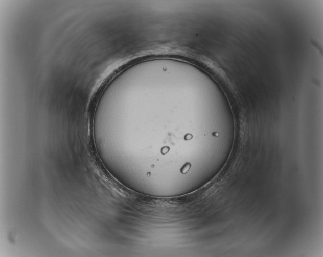 X0000100391270200806271349