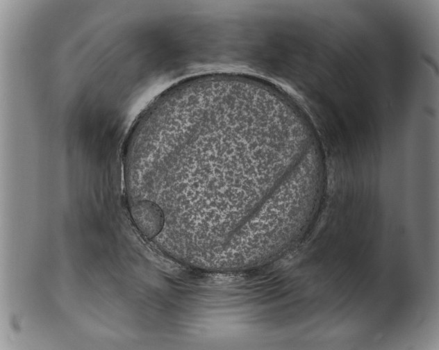 X0000100391271200806271349