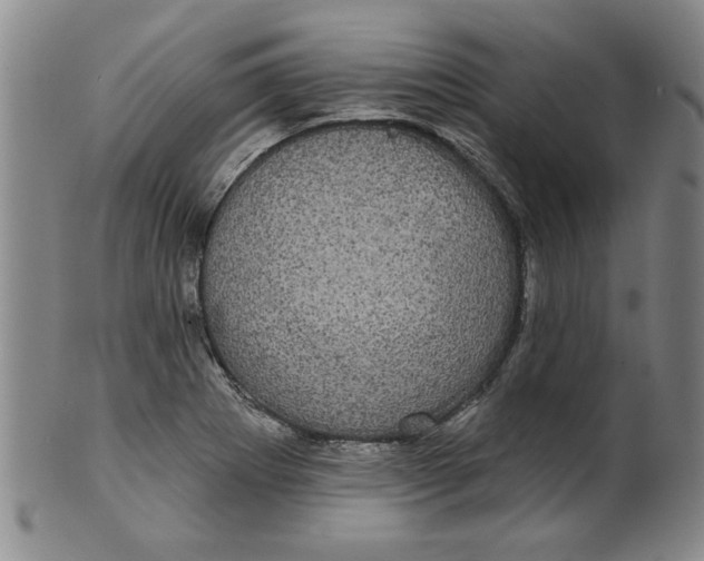 X0000100391273200806271349