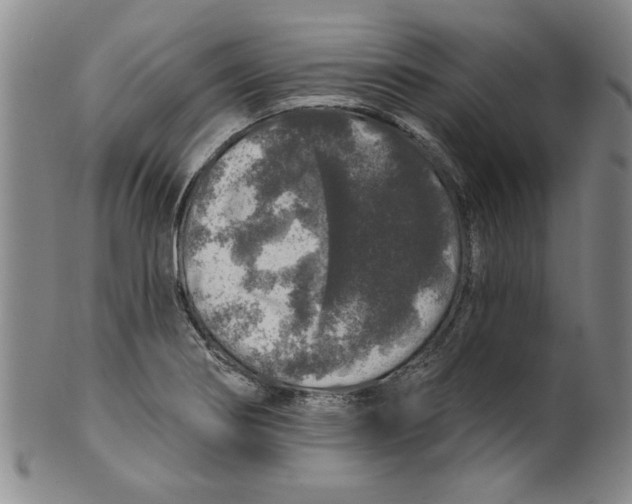 X0000100391274200806271349