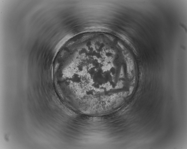 X0000100391275200806271349