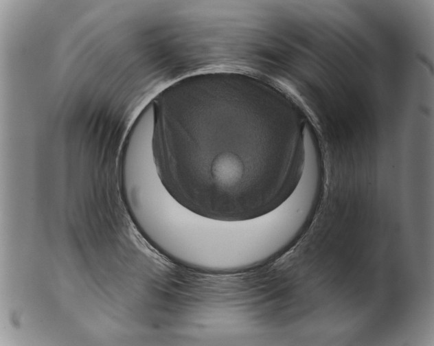 X0000100391276200806271349