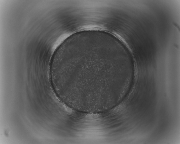 X0000100391277200806271349