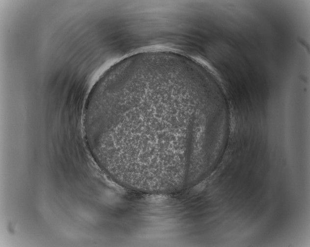 X0000100391278200806271349