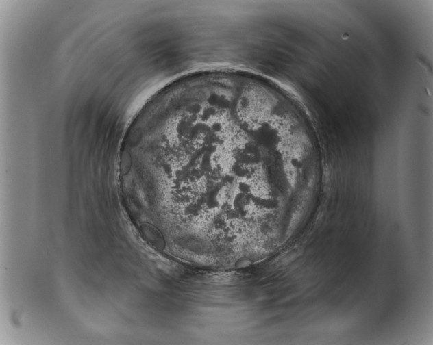 X0000100391279200806271349