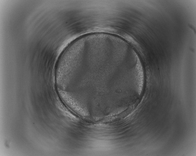 X0000100391280200806271349