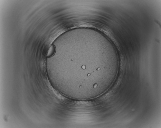 X0000100391281200806271349