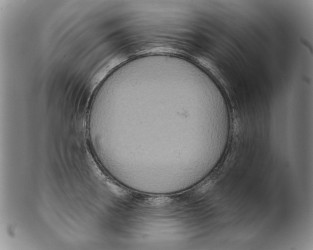 X0000100391282200806271349