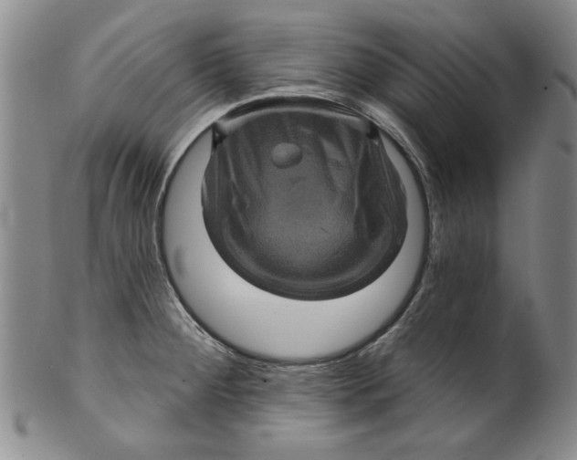 X0000100391284200806271349