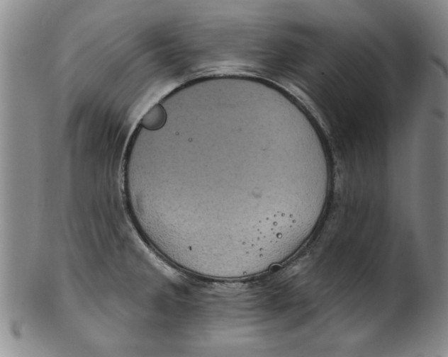 X0000100391285200806271349