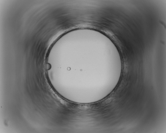 X0000100391286200806271349