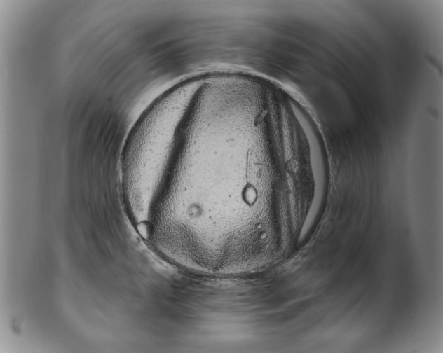 X0000100391287200806271349