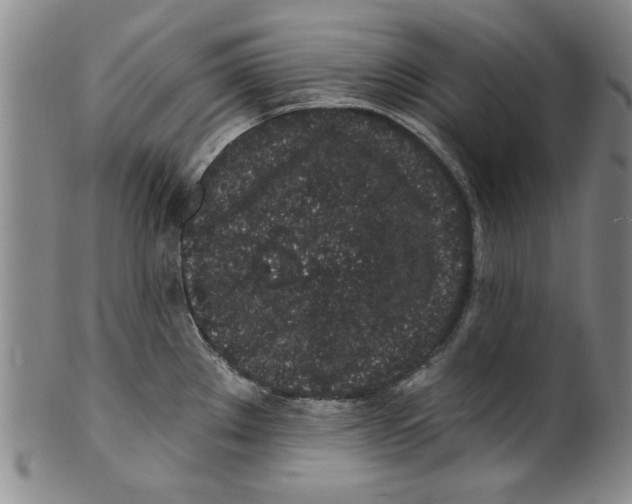 X0000100391289200806271349