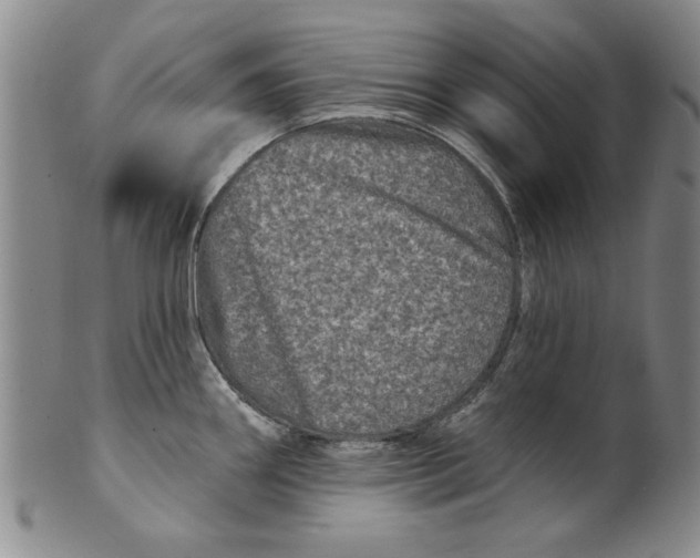 X0000100391290200806271349