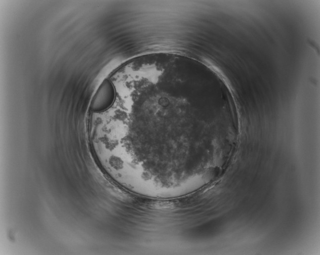 X0000100391291200806271349