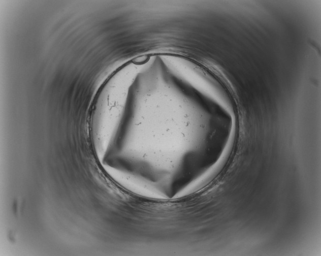 X0000100391292200806271349