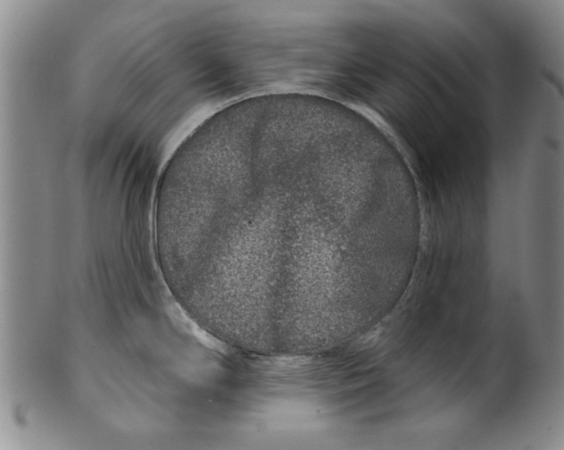 X0000100391294200806271349