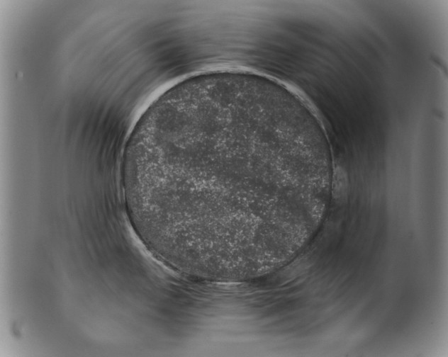 X0000100391295200806271349