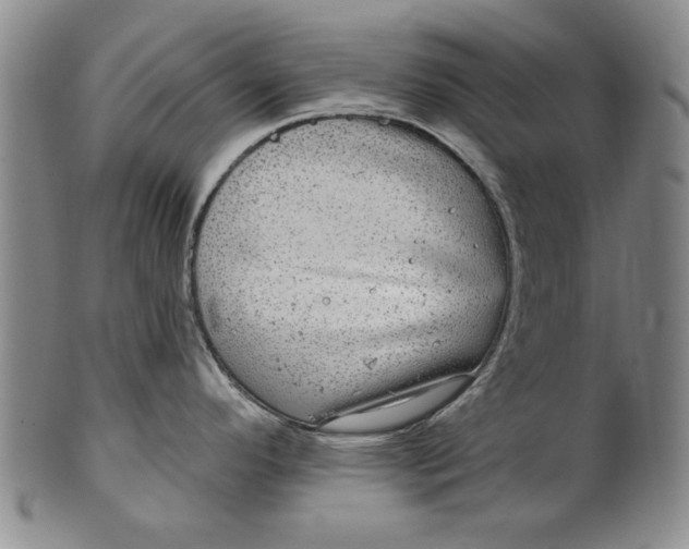 X0000100391296200806271348