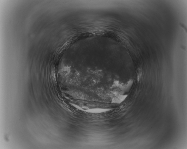 X0000100391298200806271348