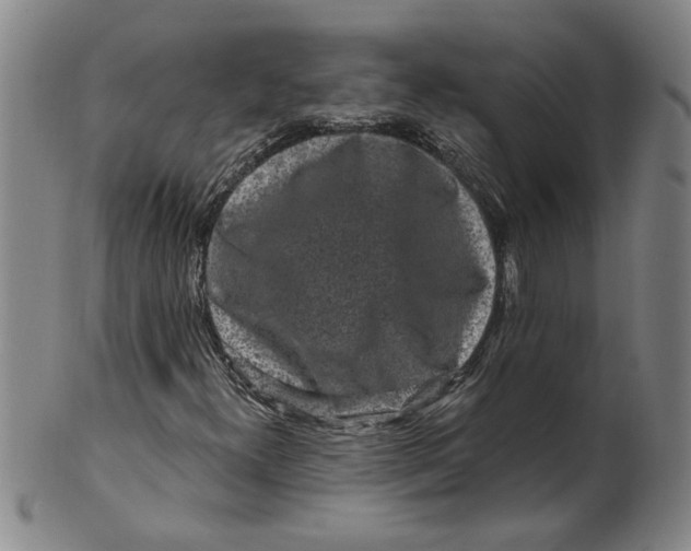 X0000100391300200806271348