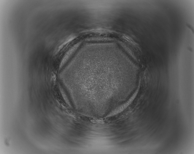 X0000100391302200806271348