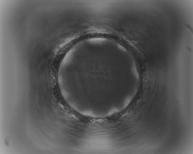 X0000100391303200806271348