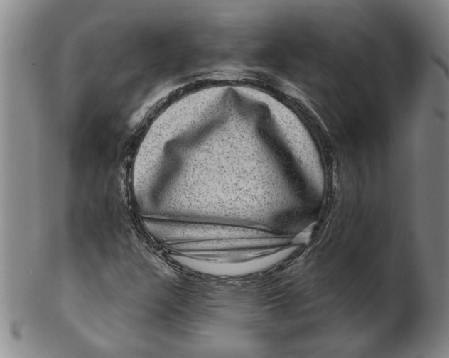 X0000100391304200806271348