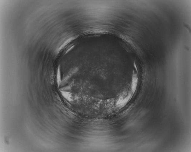 X0000100391306200806271348