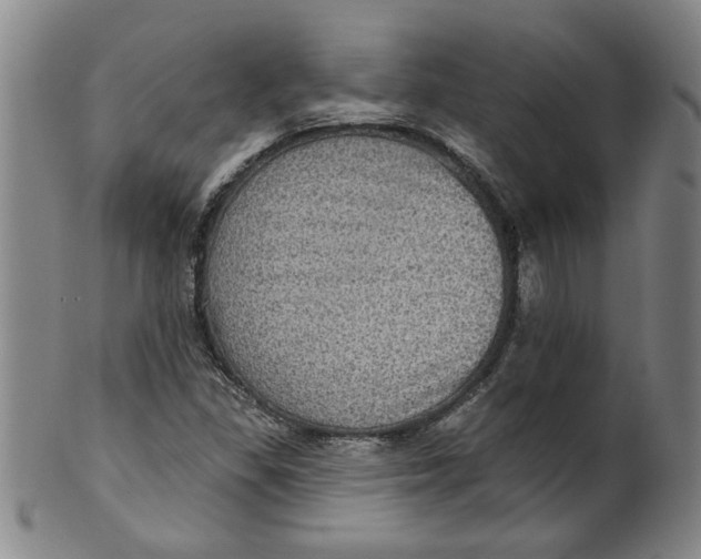 X0000100391309200806271348