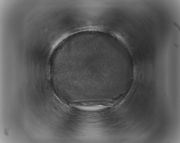 X0000100391310200806271348