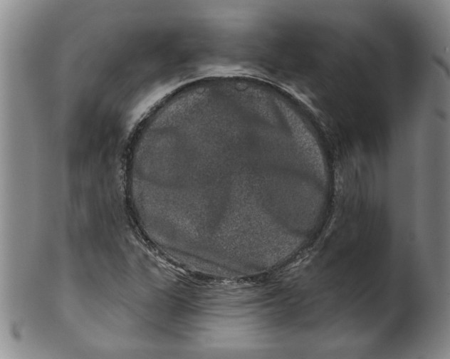 X0000100391311200806271348