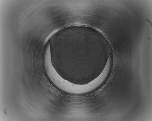 X0000100391314200806271348