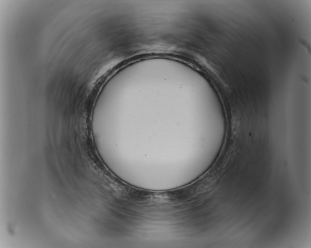 X0000100391315200806271348