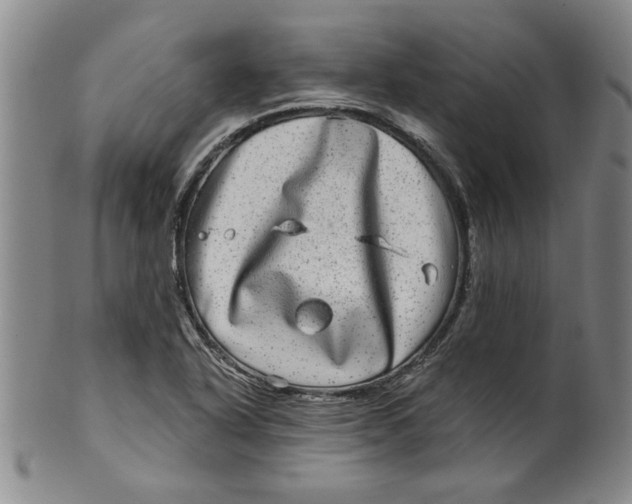 X0000100391318200806271348