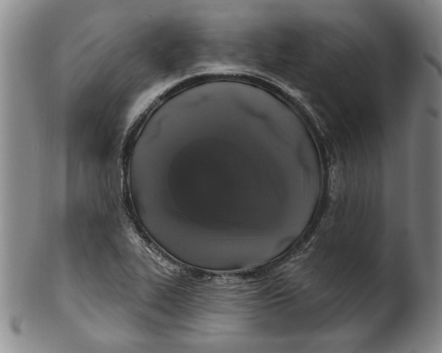 X0000100391319200806271348