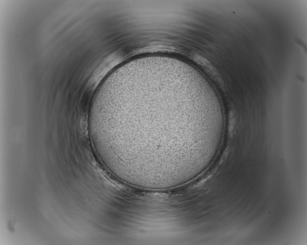 X0000100391321200806271348