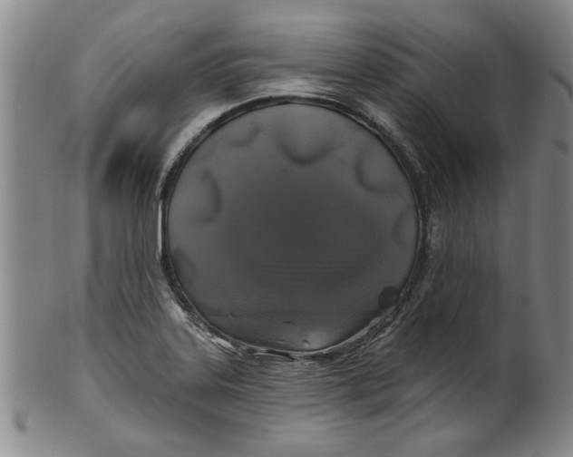 X0000100391323200806271348