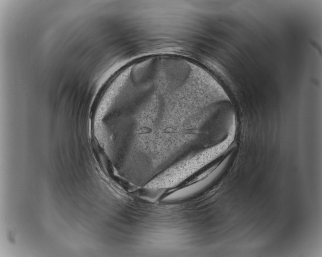 X0000100391324200806271348