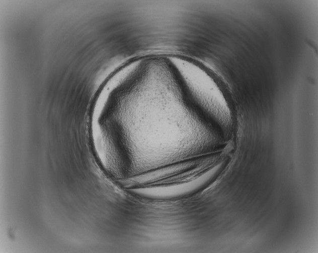 X0000100391325200806271348