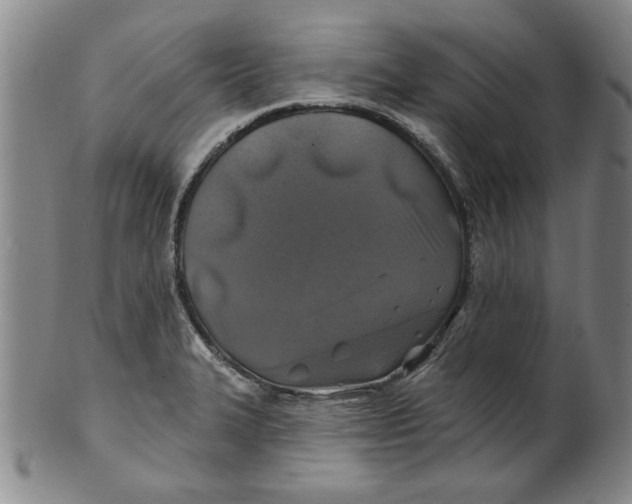 X0000100391327200806271348